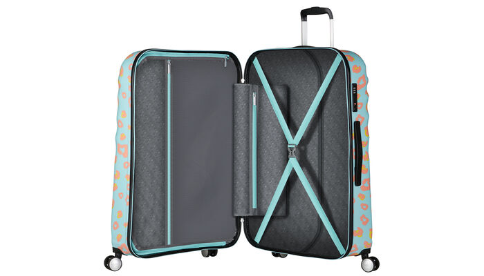 Vnitřní organizér