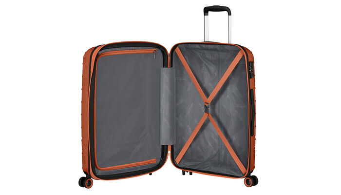 Vnitřní organizace