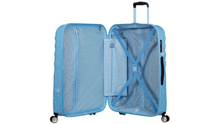 Vnitřní organizér