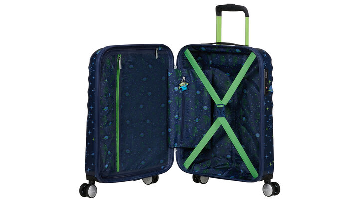 Vnitřní organizér