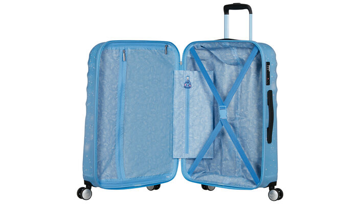 Vnitřní organizér