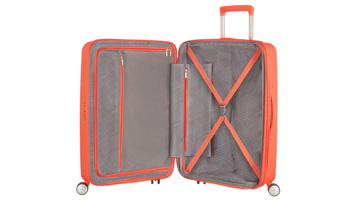 Vnitřní organizace