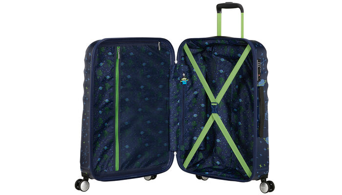 Vnitřní organizér