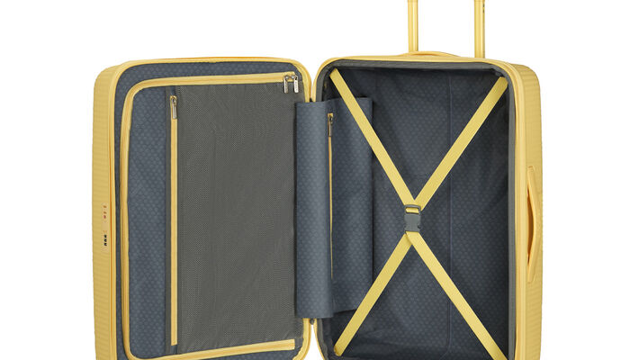 Vnitřní organizace