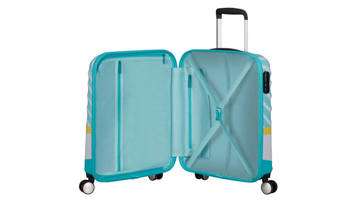 Vnitřní organizér