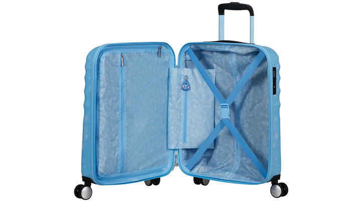 Vnitřní organizér