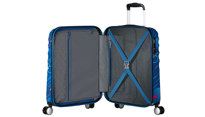 Vnitřní organizér