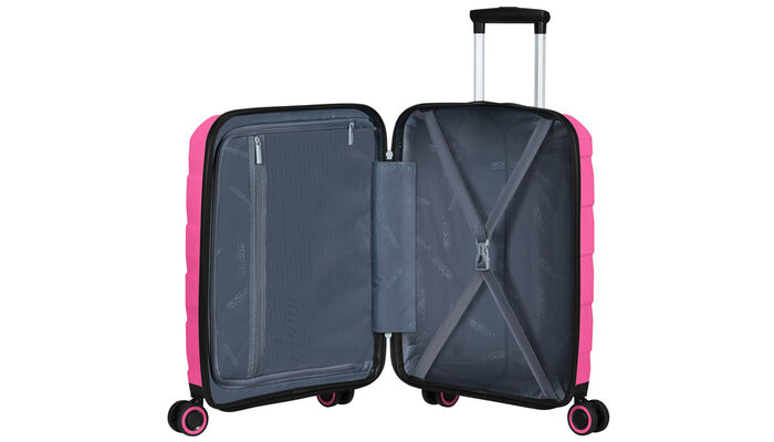 Vnitřní organizér