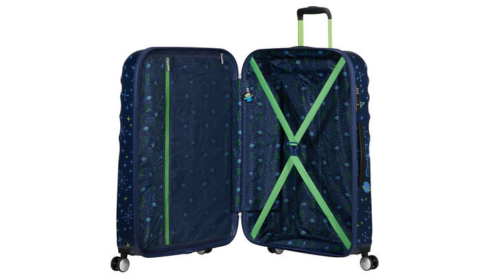 Vnitřní organizér