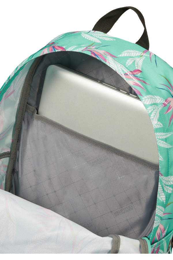 American Tourister Urban Groove Lifestyle Backpack  Bloom